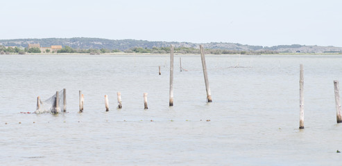 Piquets dans l'&eacute;tangs