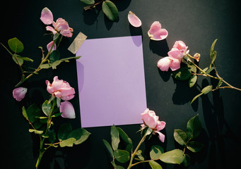 Purple paper card with room for text or copy, surrounded by beautiful pink delicate roses with petals and leaves.  Floral feminine note.