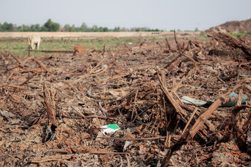 Wood chips on field.