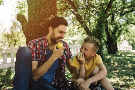 Delightful picture of father and son sitting together under tree and eating apple. They are looking at each other and smiling.