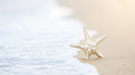 Fototapeta na wymiar Starfish on the Beach in the Crashing Waves