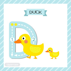 Letter D uppercase cute children colorful zoo and animals ABC alphabet tracing flashcard of Duck and child for kids learning English vocabulary and handwriting vector illustration.