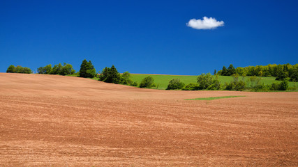 Potato fields, PEI