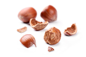 Hazelnuts on white background