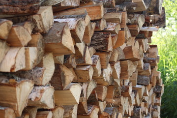 Firewood pile chopped