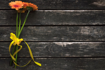 Gerbera flowers on wooden background with copy space.