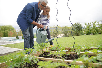 Father and daughter gardening together, home vegetable garden