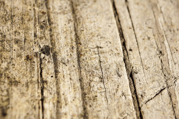 The old wood texture with natural patterns