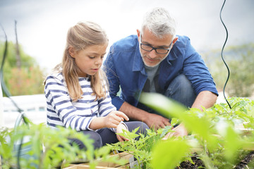 Father and daughter gardening together, home vegetable garden