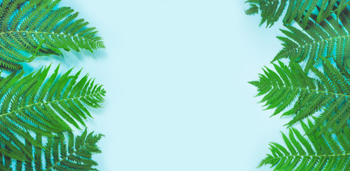 Fototapeta na wymiar Leaves of fern on pastel blue background. Top view, isolated with copy space. Summer.