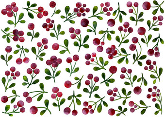 Set of twigs of cowberries. Watercolor pattern and pattern.
Set for creativity, design, decoration, printing. Fashionable pattern for clothes.