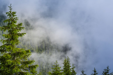 Beautiful scenery in the mountains in spring with mist and rain clouds
