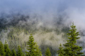 Beautiful mountain scenery with rain clouds and mist in spring