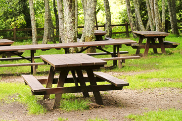 rest place site in park  with picnic table