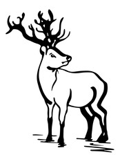 Deer silhouette. Line drawing