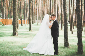 Happy wedding couple walking in a botanical park