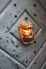 door and lion