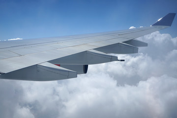 Wing of an airplane.