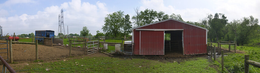 Fototapeta na wymiar Pig Farm Fenced Pen Red Barn Panoramic