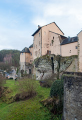 Fototapeta na wymiar Castle in Bourglinster