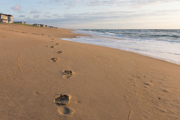 Footprints along the beach