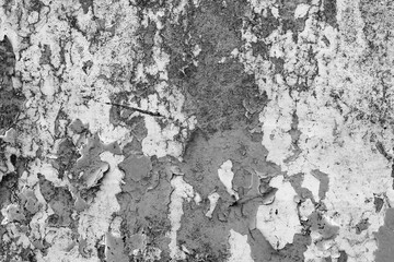 Wall fragment with scratches and cracks