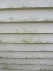 Close up of mold and mildew on house siding 