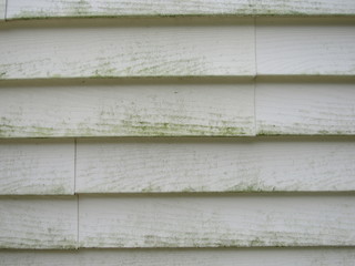 Close up of mold and mildew on house siding 