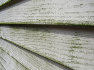 Close up of mold and mildew on house siding 