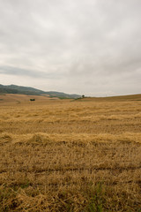 Camino de Santiago as it passes through Navarra