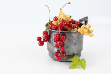 Rote und weiße Johannisbeeren