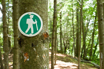 Hiking Trail Marker on a Tree in the Woods