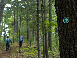 Trail Marker on a Tree in the Woods with Kids Hiking in the Background