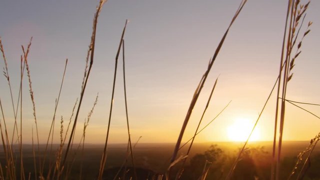 A medium shot of grass leaf and a sunset. Camera pans to the right.
