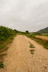 Fototapeta na wymiar Camino de Santiago as it passes through Navarra