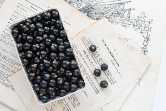 Schwarze Johannisbeeren (Ribisel)