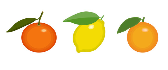 SET of citrus fruits. Tangerin, orange and lemon icon on isolated background concept for farmers market organic food in flat style vector illustration