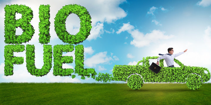 Concept of bio fuel and ecology preservation