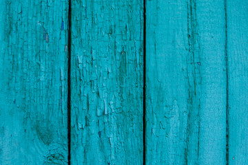 Wooden painted board texture in turquoise color background