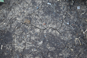 Cracked earth surface texture, background in summer heat