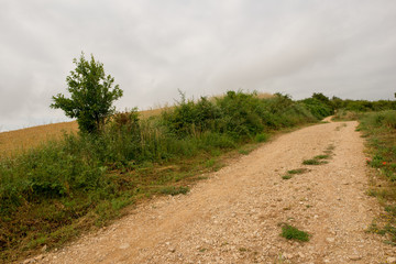 Camino de Santiago as it passes through Navarra