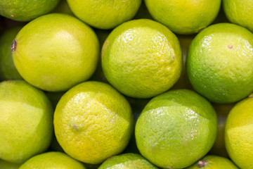 lime harvest. many green limes. lime background. limes from tree. lime harvest. many limes. perfect limes