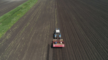 Farm machinery harvesting potatoes. Farmer field with a potato crop. Pile of potatoes on a trailer with vintage tractor. Aerial footage.