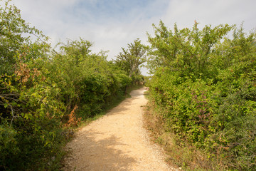 Camino de Santiago as it passes through Navarra