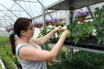 Woman in greenhouse