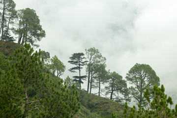 Obraz premium green hill in the clouds