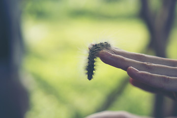 hairy caterpillar on her finger