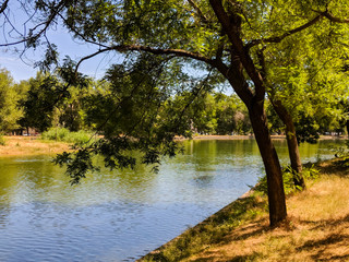 Odesa city park in the summer season