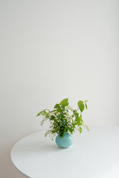 Fototapeta Branch of blossoming bird cherry standing in a vase on a white background