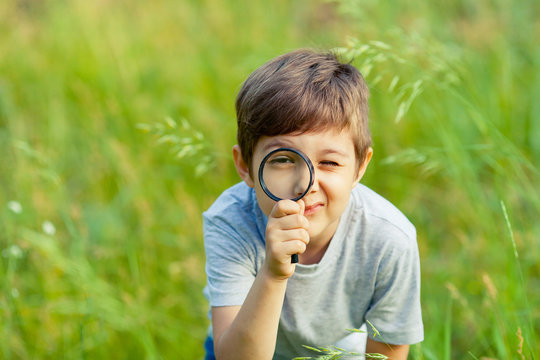 Young boy exploring nature in the meadow with a magnifying glass looking at flowers. Curious children in the woods, a future botanist.